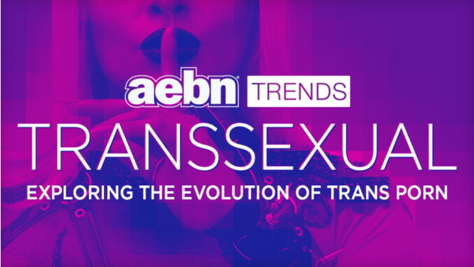 AEBN veröffentlicht Bericht über die Geschichte und Zukunft von Trans-Inhalten