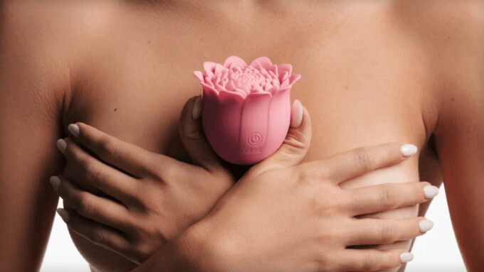 Cere stellt Vibrator in Chrysanthemenform Diviner vor