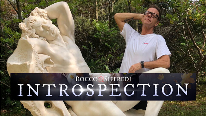 Die Erektion von 'Introspection': Rocco Siffredi geht voll auf Statuen-Sexualität