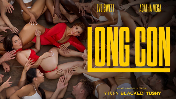 Vixen veröffentlicht letzte Folge des Crossover-Films „Long Con“